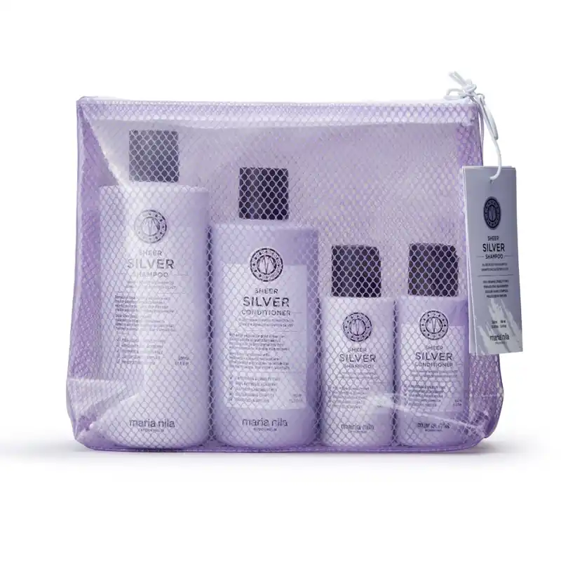 Sheer Silver Beauty Bag Extra rabatt
